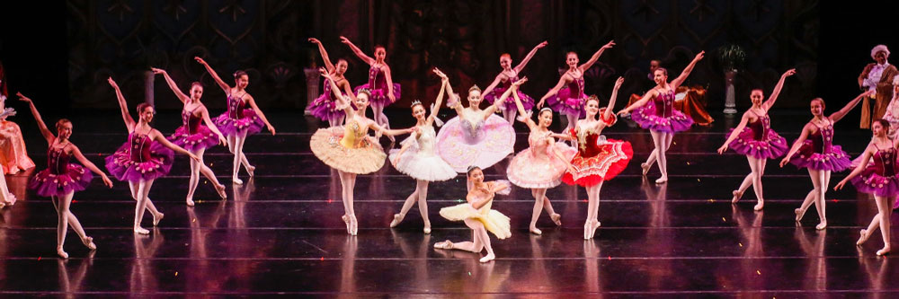 northern virginia professional ballet academy